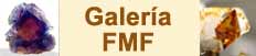 Galer&iacute;a FMF